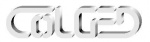 Логотип COLGED
