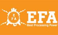 Логотип Efa